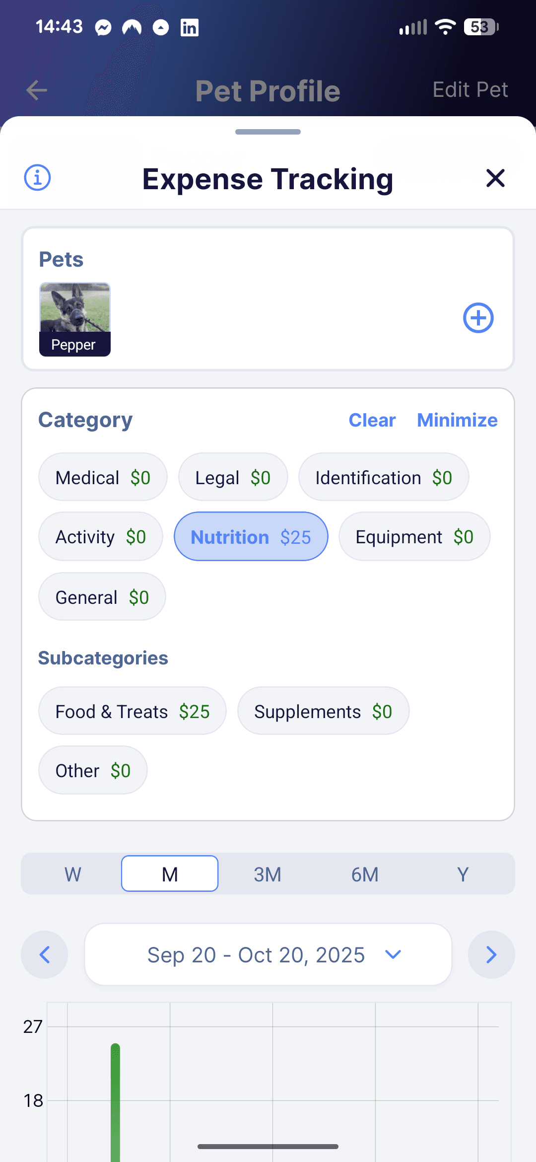Filtering options on the expense chart including category and subcategory.