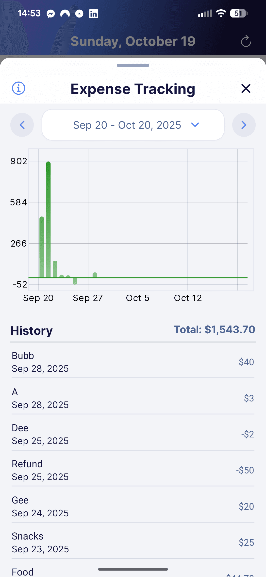 Expense chart with data points displayed below.