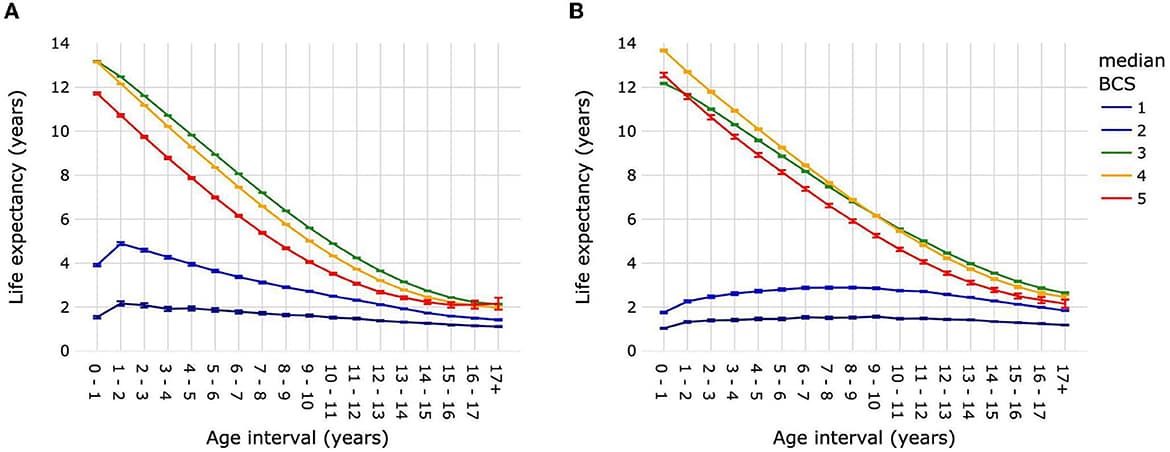 Chart showing longer lifespan for pets with an ideal body condition score.