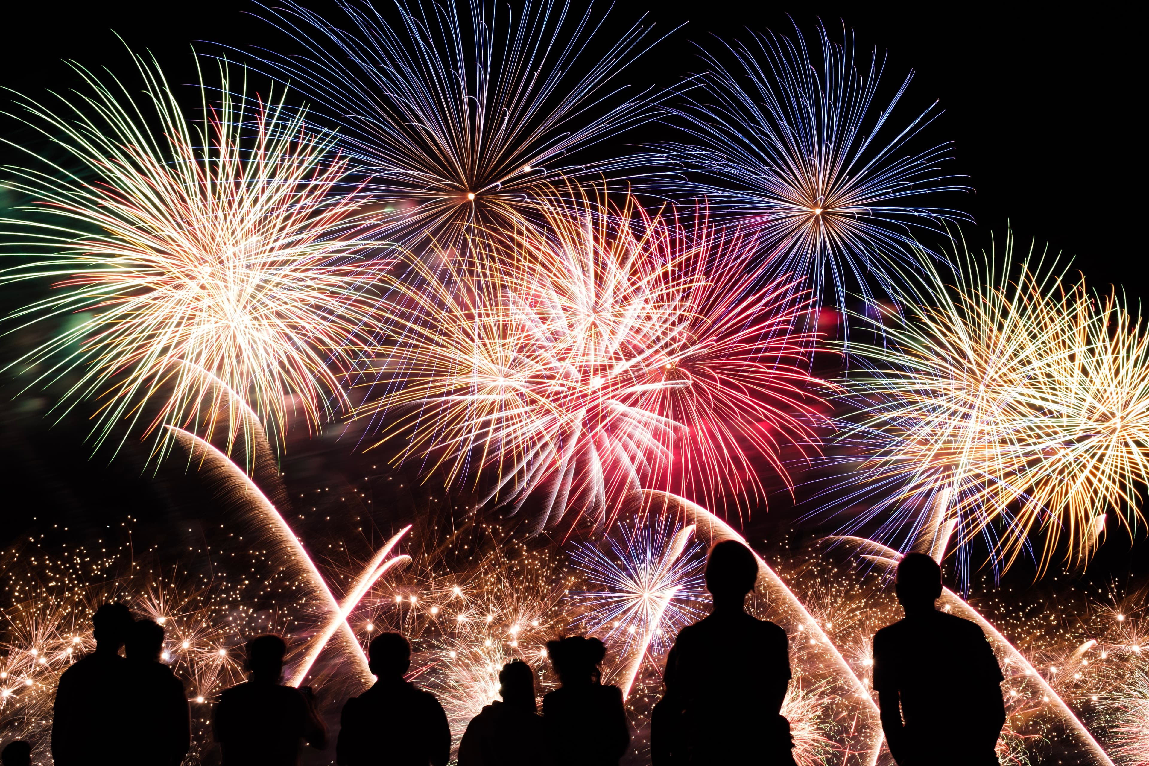 July 4th and Canada Day — The Biggest Days for Lost Animals — What to Do if You are Planning to Celebrate
