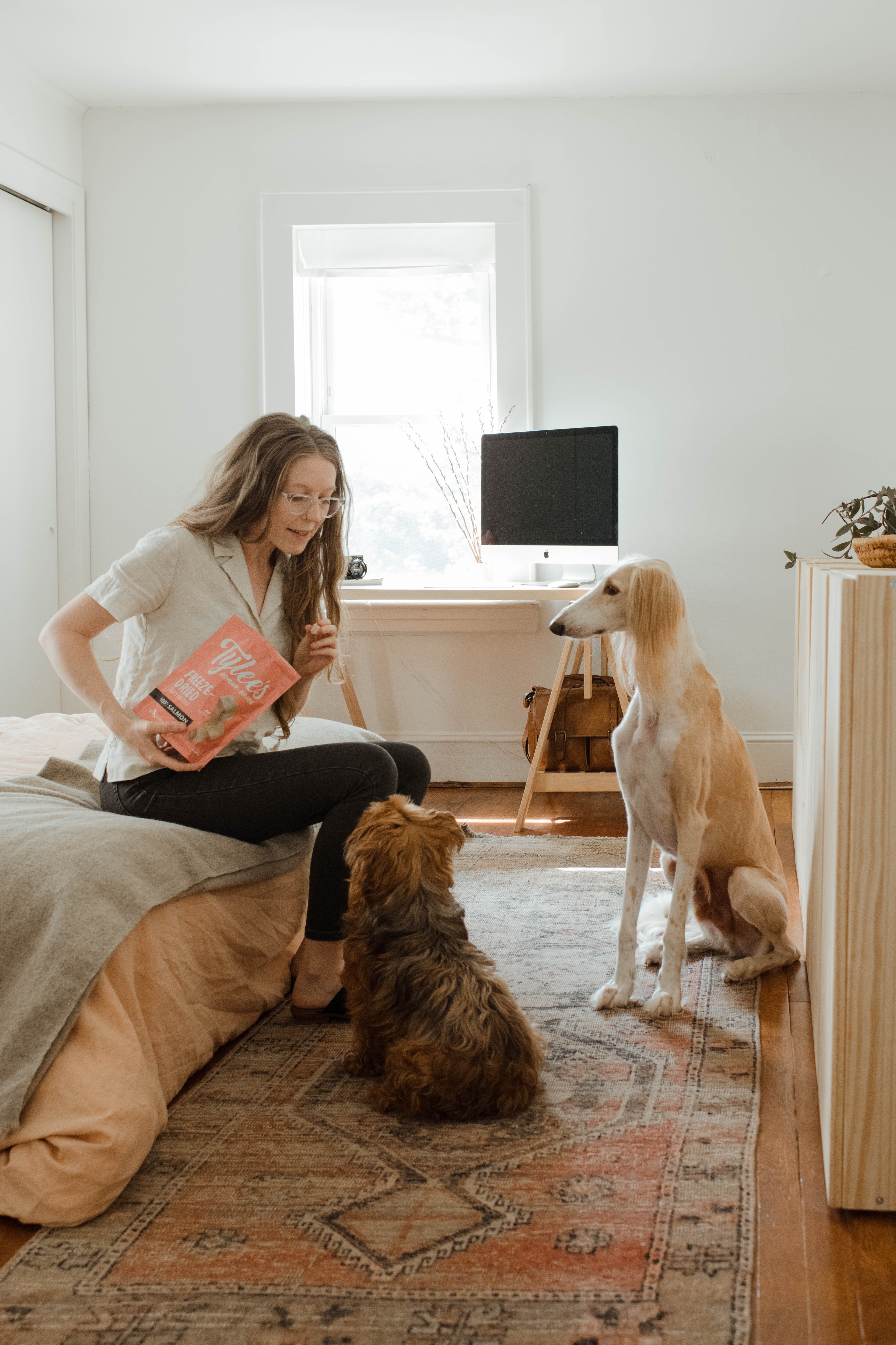 Teach Good Things Happen Here: A Simple Positive Reinforcement Plan for Dogs in a New Home
