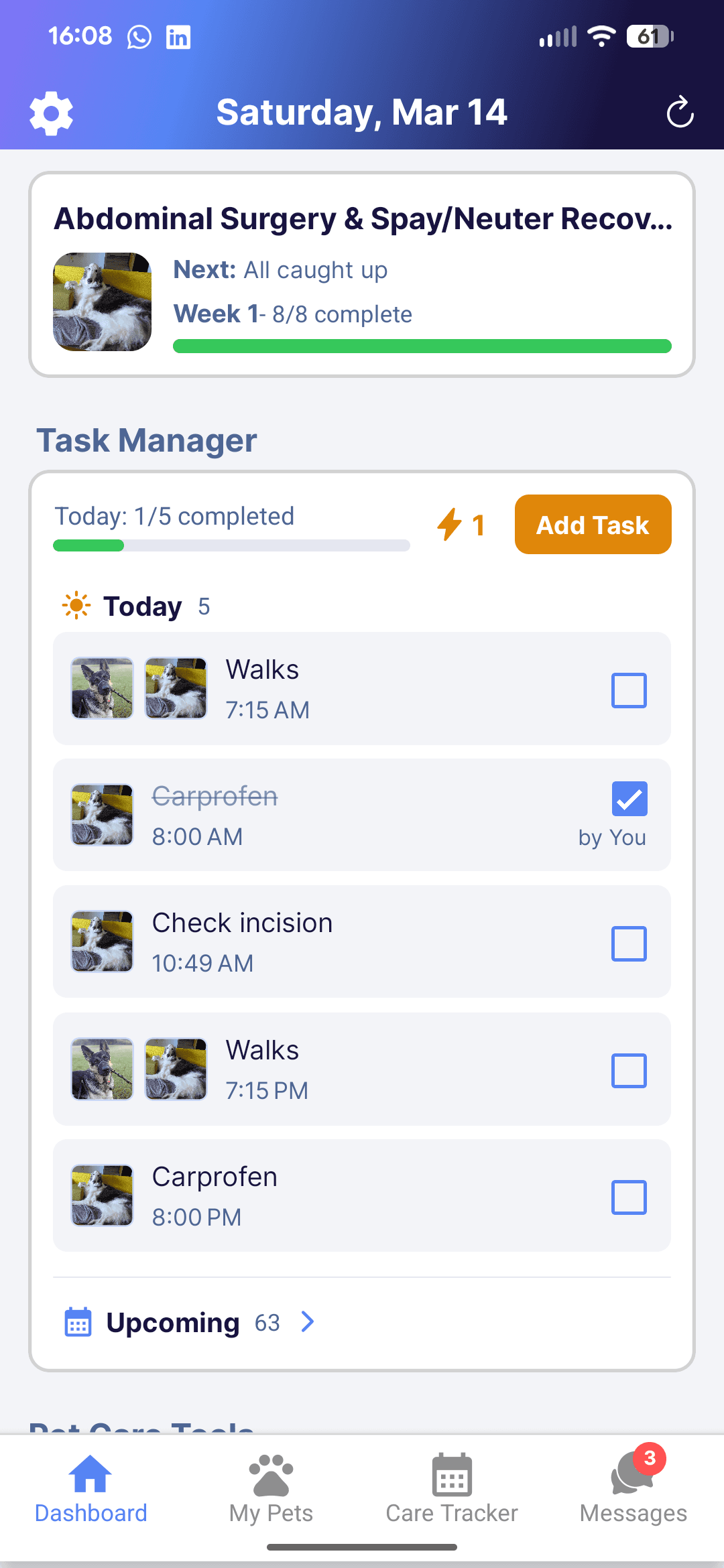 Every Wag app showing care reminders and task progress