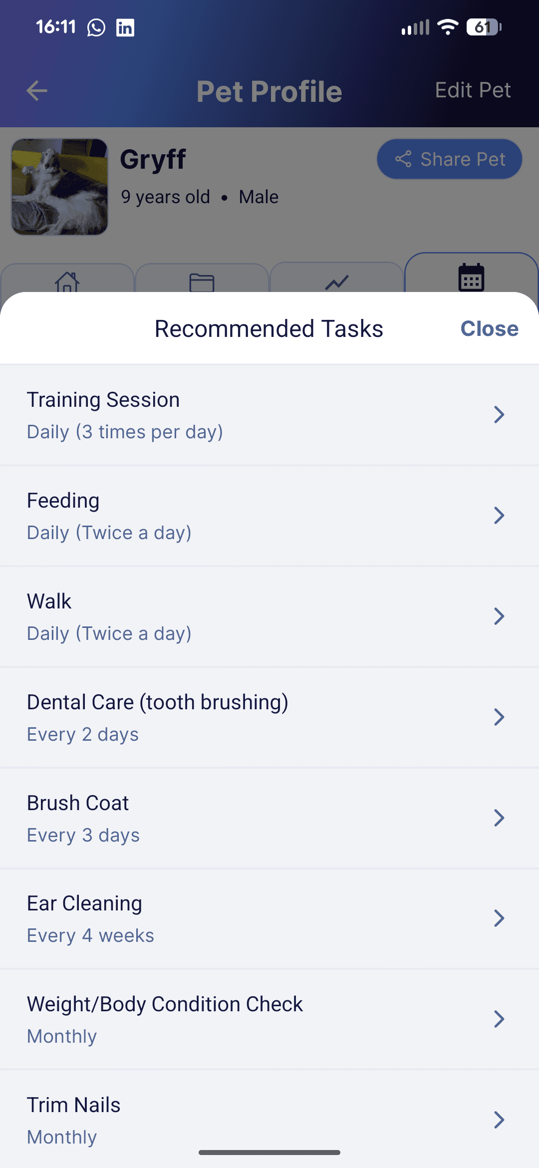Every Wag pet profile showing recommended recurring tasks.