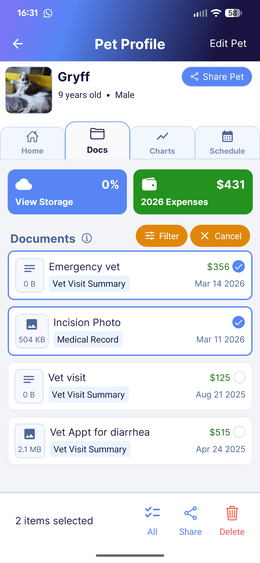 Every Wag documents screen showing records and tracked expenses.