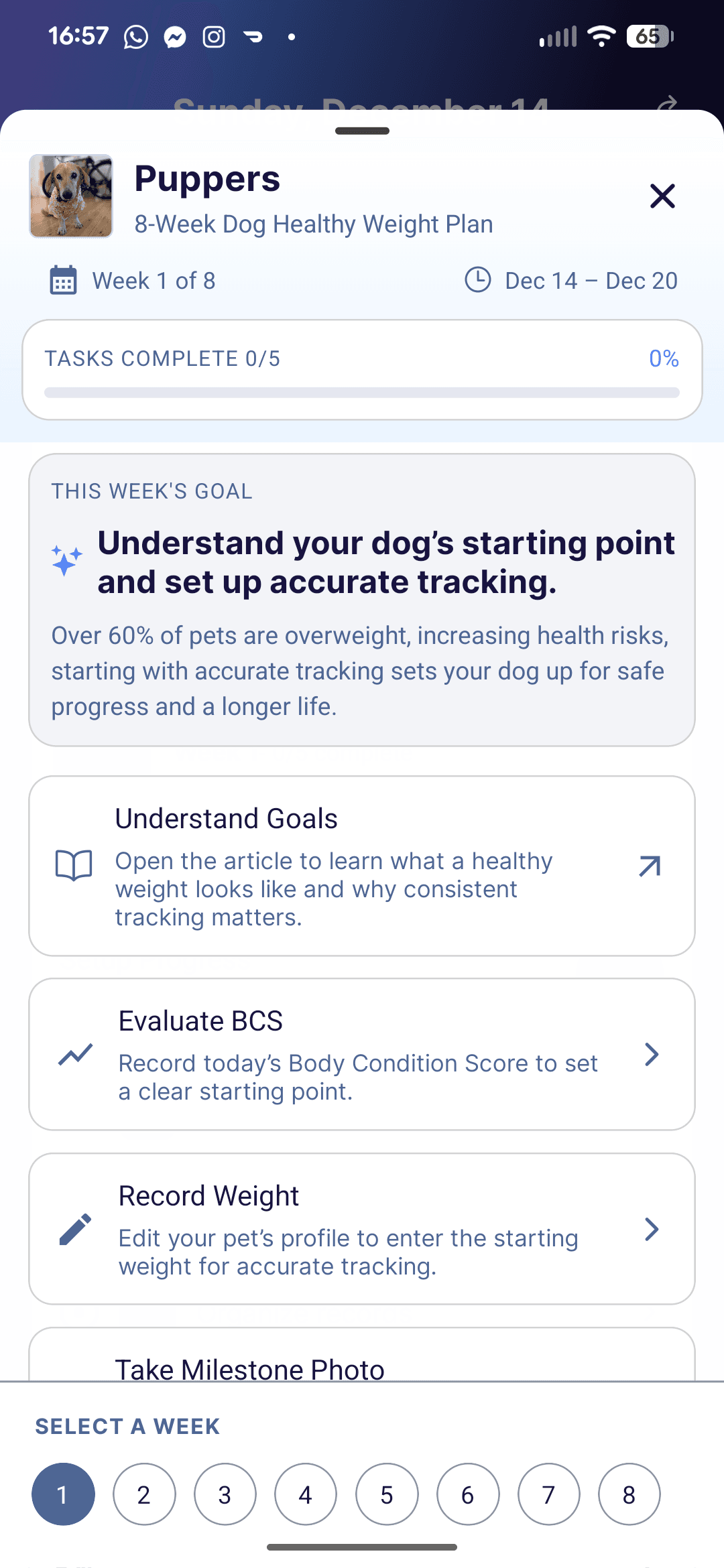 Every Wag health chart with historical tracking data.