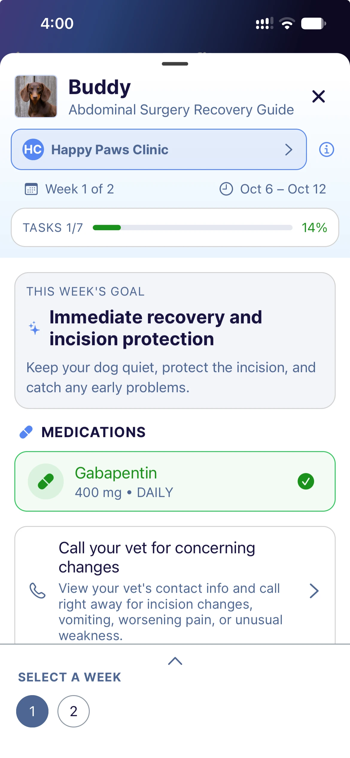 The Every Wag app showing week one of Buddy's abdominal surgery recovery guide: gabapentin 400 mg checked off and a step to call the vet for concerning changes