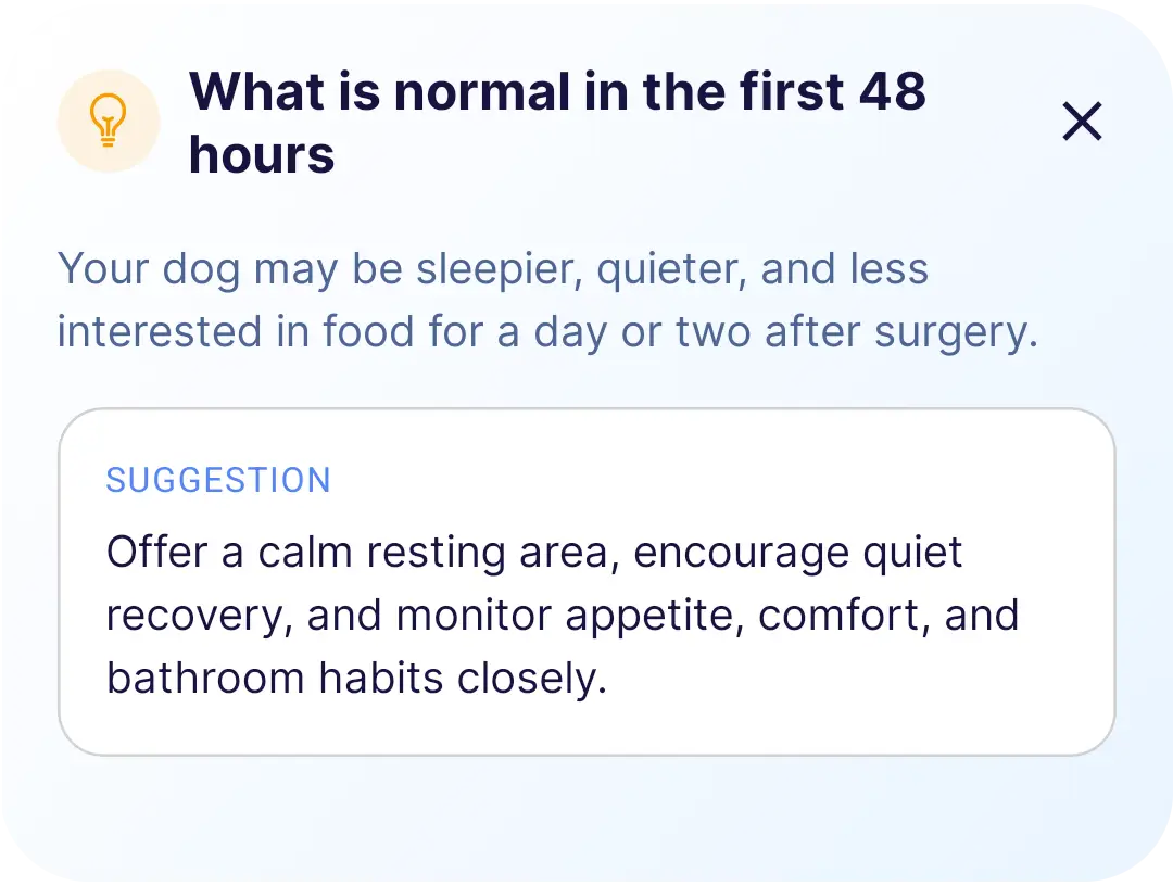 Every Wag care guide tip preview