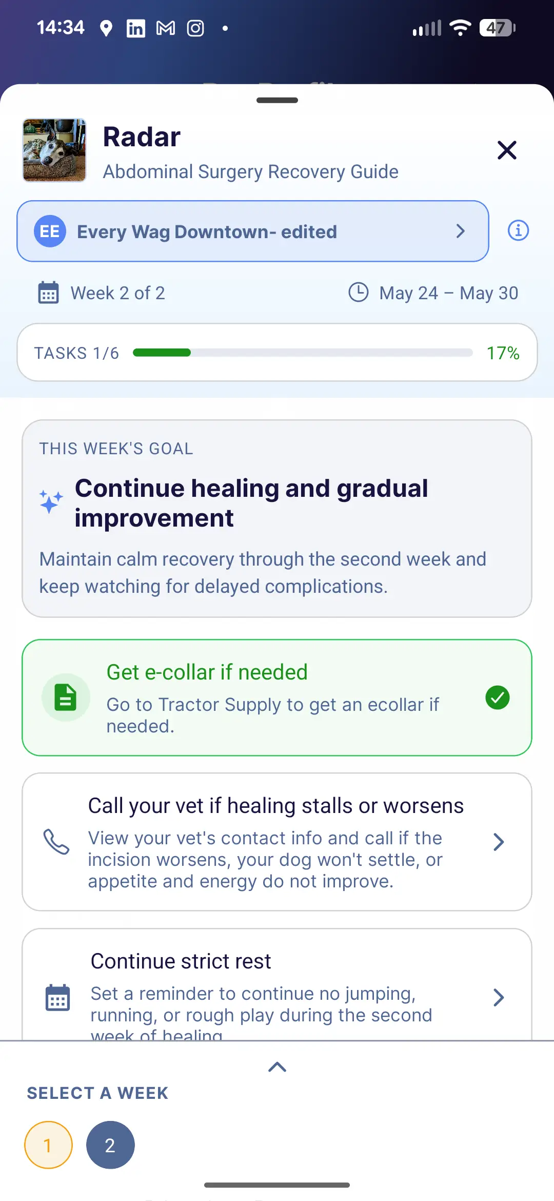 Every Wag app showing a patient-specific aftercare guide